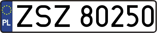 ZSZ80250