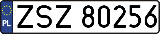 ZSZ80256