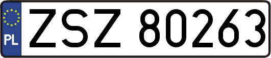 ZSZ80263