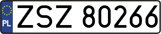 ZSZ80266