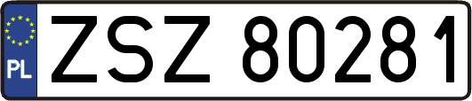 ZSZ80281