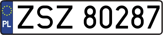 ZSZ80287