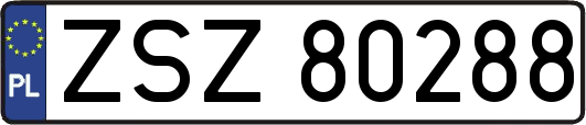 ZSZ80288