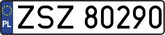 ZSZ80290