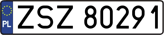 ZSZ80291