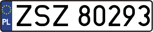 ZSZ80293