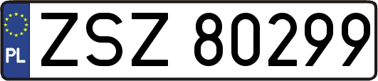 ZSZ80299