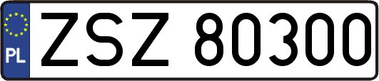 ZSZ80300