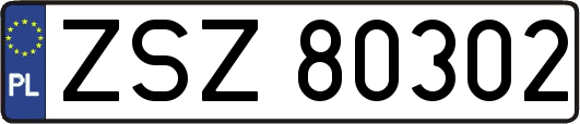 ZSZ80302