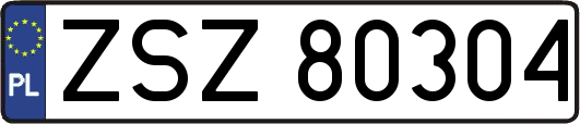 ZSZ80304
