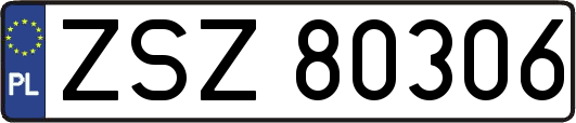ZSZ80306