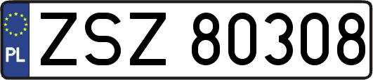ZSZ80308