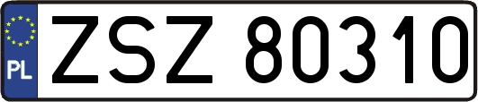 ZSZ80310