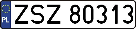 ZSZ80313