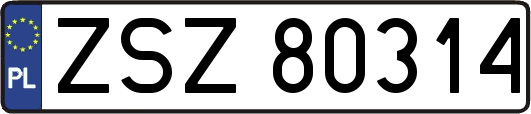 ZSZ80314