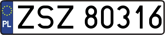 ZSZ80316