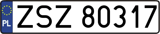 ZSZ80317