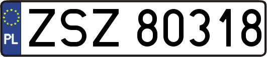 ZSZ80318