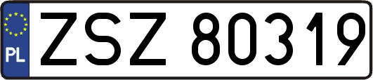ZSZ80319