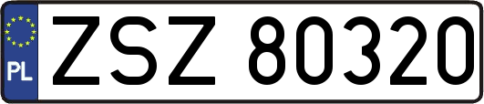 ZSZ80320