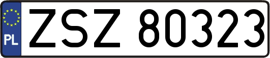 ZSZ80323