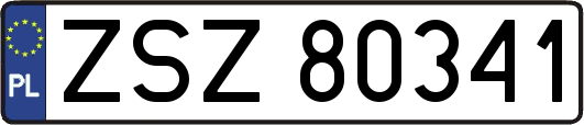 ZSZ80341