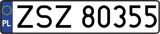 ZSZ80355