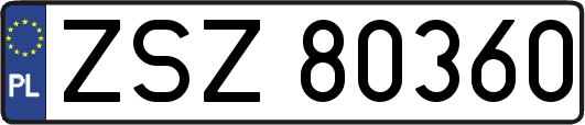 ZSZ80360