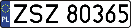 ZSZ80365