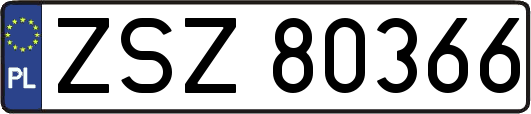 ZSZ80366