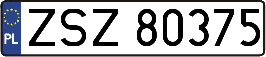 ZSZ80375