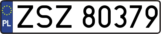 ZSZ80379