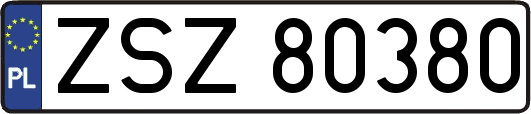 ZSZ80380