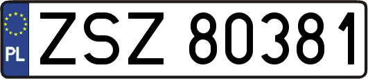 ZSZ80381