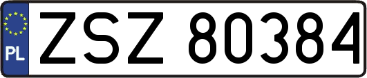 ZSZ80384