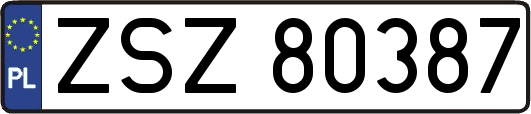 ZSZ80387