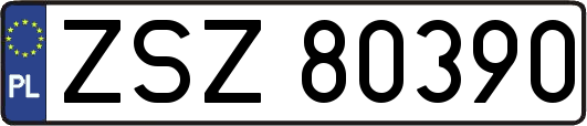 ZSZ80390