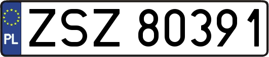 ZSZ80391