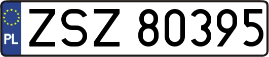ZSZ80395