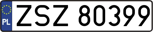 ZSZ80399