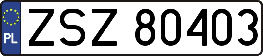 ZSZ80403