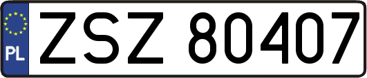 ZSZ80407