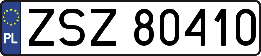 ZSZ80410