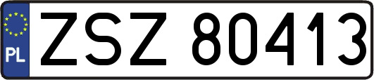 ZSZ80413