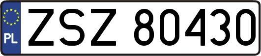 ZSZ80430