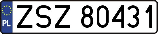 ZSZ80431