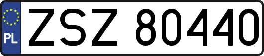 ZSZ80440