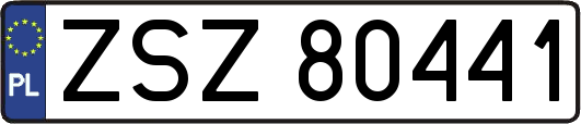 ZSZ80441