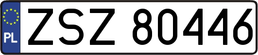 ZSZ80446