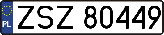 ZSZ80449